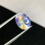 1 pcs Kleurloos Maansteen - 4.93 ct - nternational Colored, Nieuw