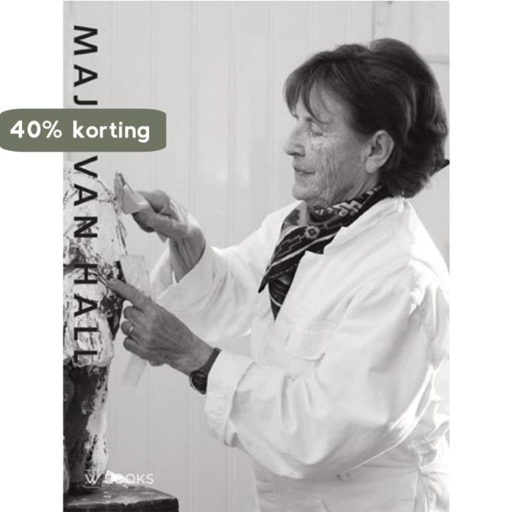 Maja van Hall 9789040007248 Gijsbert van der Wal, Boeken, Kunst en Cultuur | Beeldend, Zo goed als nieuw, Verzenden