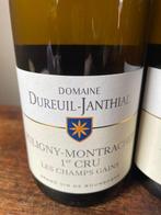 2023 Dureuil Janthial Puligny Montrachet 1° Cru Champs, Collections