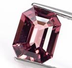 Zonder Minimumprijs Spinel - 2.69 ct - Antwerp Laboratory, Nieuw