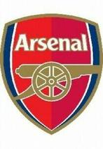 Arsenal FC: End of Season Review 2003/2004 DVD (2004), Cd's en Dvd's, Zo goed als nieuw, Verzenden