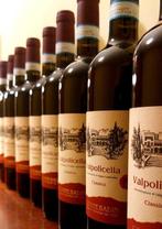 2023 Corte Badin Bonazzi Valpolicella Classico - Veneto DOC, Nieuw