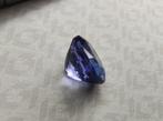 Bleu, Violet Tanzanite - 2.69 ct - International Gemological, Nieuw
