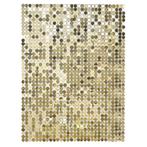 Gouden Backdrop 30,5cm, Nieuw, Verzenden