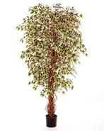 Kunstplant Ficus Hawaiian Mixed 150 cm, Verzenden