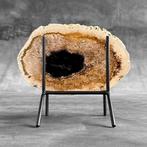 Belle tranche de racine de palmier pétrifiée sur un support