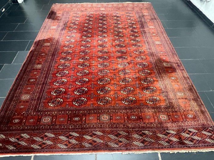 Buchara - Tapis - 345 cm - 250 cm, Antiek en Kunst, Curiosa en Brocante