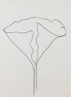 Ellsworth Kelly (1923 - 2015) - Lotus, Antiek en Kunst