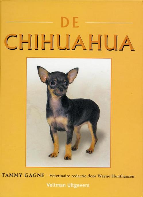 De Chihuahua 9789059209251, Livres, Animaux & Animaux domestiques, Envoi