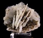 Albite cleavelandite et muscovite - Mine Itatiaia,, Collections, Minéraux & Fossiles