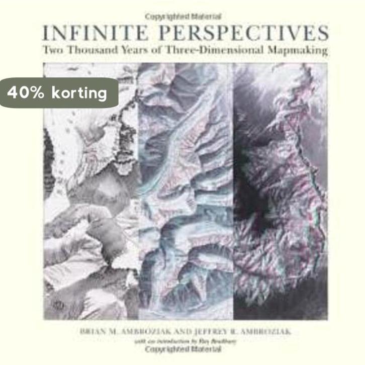 INFINITE PERSPECTIVES 9781568981956 Brian M. Ambroziak, Boeken, Taal | Engels, Gelezen, Verzenden