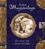 Werkboek magistrologie 9789047504238, Livres, Livres pour enfants | 0 an et plus, D. Steer, Verzenden