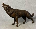 Statue, Wolf 31.5 cm (Zonder Minimumprijs) - 18 cm - Bronze, Antiquités & Art