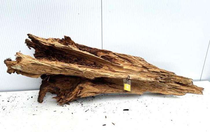Osaka XL129 uniek aquarium decoratie hout  160x55x40cm, Dieren en Toebehoren, Vissen | Aquaria en Toebehoren, Plant(en), Steen of Hout