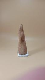 Etruscan Terracotta Votive model, of een hand