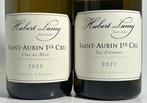 2020 Hubert Lamy Clos du Meix & 2021 Les Frionnes -, Collections