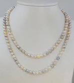 Collier Perles Akoya multi-pearls et dorées de 5,5x6 mm, Nieuw