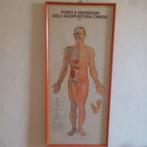 Anémomètre (3) - Papier - 1980-1990 - Illustrations