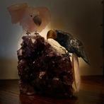 Uitgesneden vogels XL op een donkere amethist cluster, Verzamelen, Mineralen en Fossielen