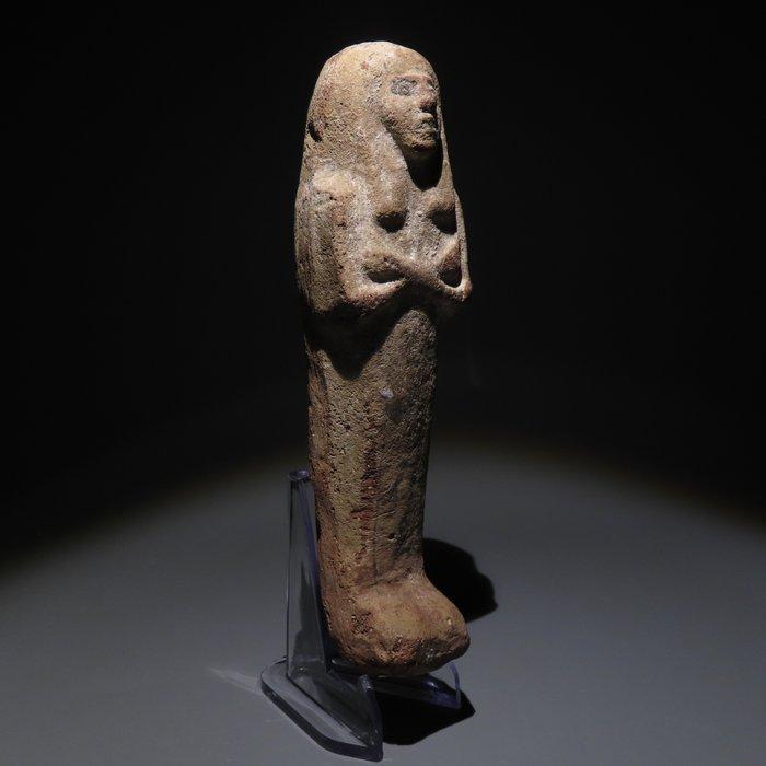 Oud-Egyptisch Terracotta Ushebti. Derde Tussenperiode, 1069, Verzamelen, Mineralen en Fossielen
