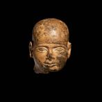 Oud-Egyptisch Geharde kalksteen Sculptuur van de God Ptah., Collections