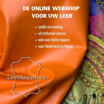 Uw online shop voor leren lappen in A-kwaliteit disponible aux enchères