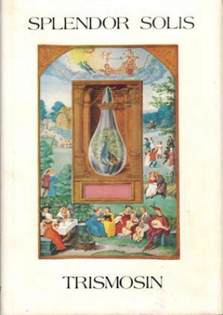 Splendor solis 9789063780425 Trismosin, Livres, Ésotérisme & Spiritualité, Envoi