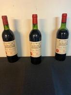 1982 Chateau Montaiguillon - Montagne-Saint-Émilion - 3, Verzamelen, Wijnen, Nieuw