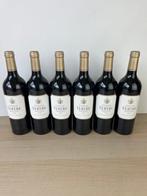 2022 Château du Tertre Margaux - Bordeaux, Margaux Grand Cru, Verzamelen, Wijnen, Nieuw
