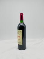 1995 Pétrus - Pomerol - 1 Fles (0,75 liter), Verzamelen, Nieuw