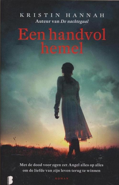 Een handvol hemel 9789022579114 Kristin Hannah, Boeken, Overige Boeken, Gelezen, Verzenden