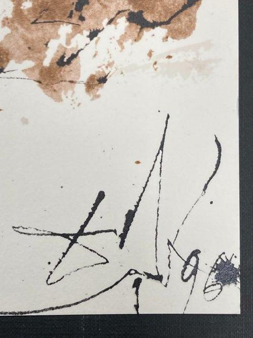 Salvador Dali (1904-1989) - Omnes Gentes in Valle losaphat, Antiek en Kunst, Antiek | Overige Antiek
