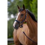 Halster topline - navy - pony - kerbl, Nieuw