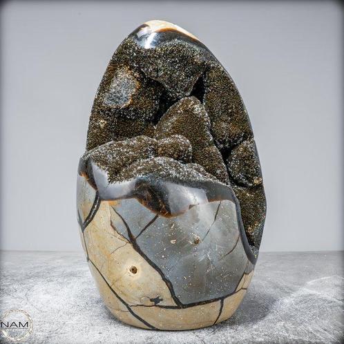 Belle géode septarienne naturelle Avec des cristaux de, Verzamelen, Mineralen en Fossielen