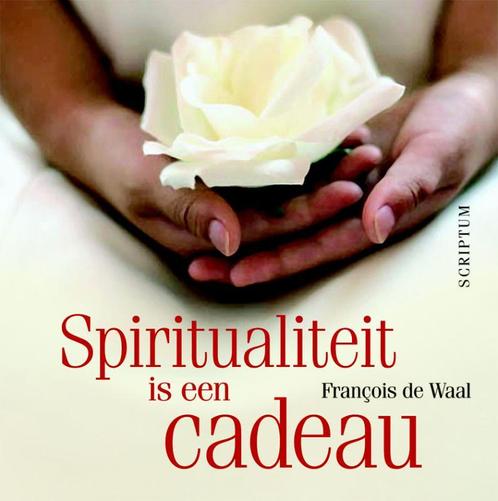 Spiritualiteit is een cadeau 9789055946129, Livres, Psychologie, Envoi