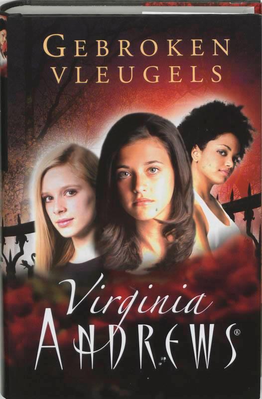 Gebroken vleugels / Gebroken vleugels / 1 9789032509491, Boeken, Sprookjes en Fabels, Gelezen, Verzenden