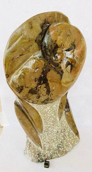 Ammonite en Orthoceras - Fossiel skelet - Ammonoidea, Collections, Minéraux & Fossiles