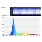 GHL Mitras Slimline 100 Ocean Blue, Dieren en Toebehoren, Verzenden, Nieuw