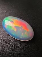 Sans Prix de Réserve Blanc, Multicolore Opale - 13.48 ct -