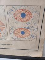 De Cel - Schoolkaart - Hout, Doek, Antiek en Kunst