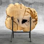 Wonderlijk sneetje versteend hout op een op maat gemaakte