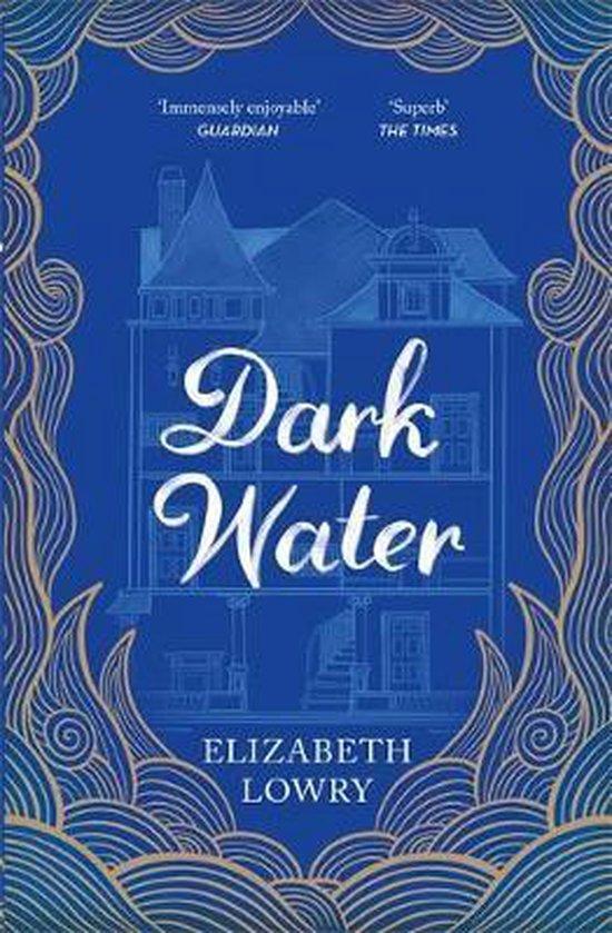 Dark Water 9781786485649 Elizabeth Lowry, Livres, Langue | Anglais, Envoi