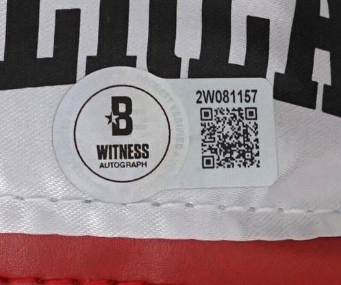 Boxe - Mike Tyson - Boxing glove, Verzamelen, Overige Verzamelen