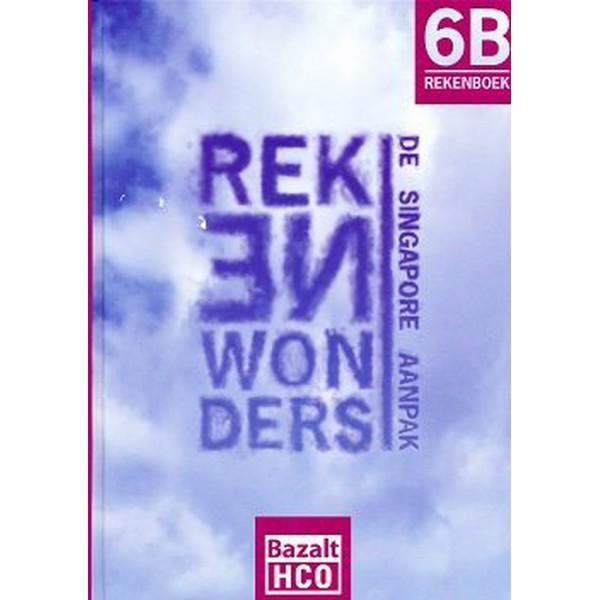 Rekenwonders Rekenboek 6B, Boeken, Schoolboeken, Verzenden