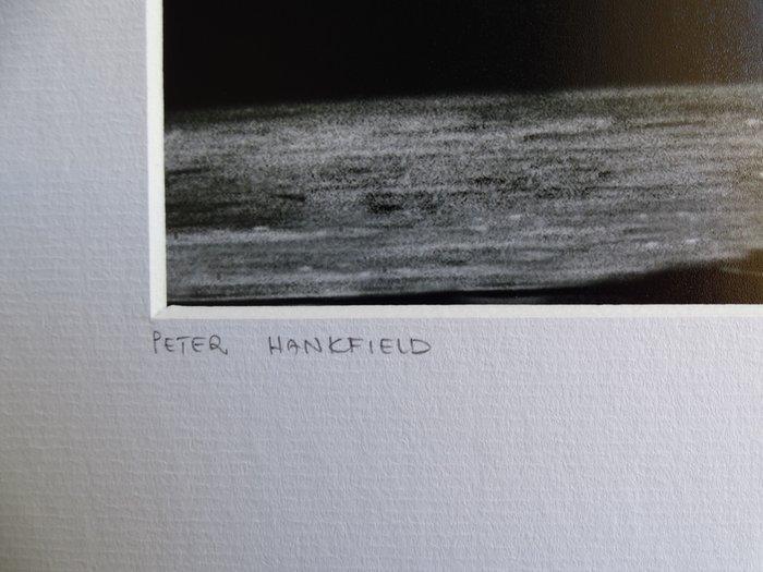 Peter Hankfield - Angus Young AC/DC, Antiek en Kunst, Kunst | Designobjecten