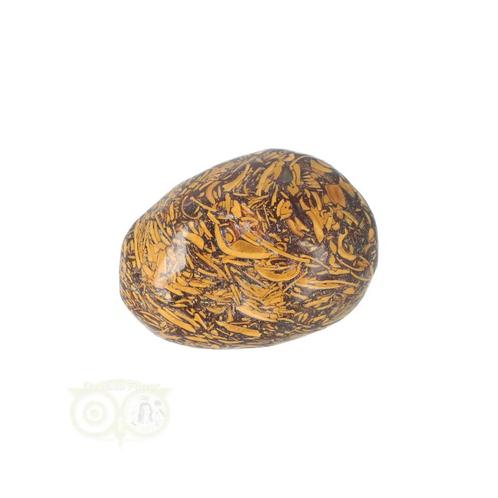 Coquina Jaspis trommelsteen Nr 15 - 27 gram, Bijoux, Sacs & Beauté, Pierres précieuses, Envoi