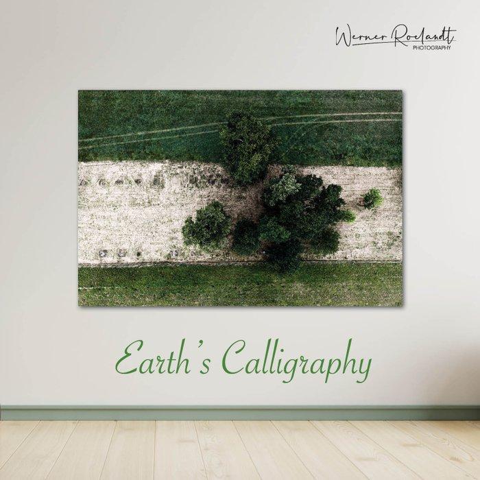 Werner Roelandt - Earths Calligraphy - 009, Antiek en Kunst, Kunst | Designobjecten