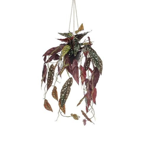 Kunstplant - Begonia Maculata - Stippenbegonia - 80 cm, Huis en Inrichting, Woonaccessoires | Kunstplanten en Kunstbloemen