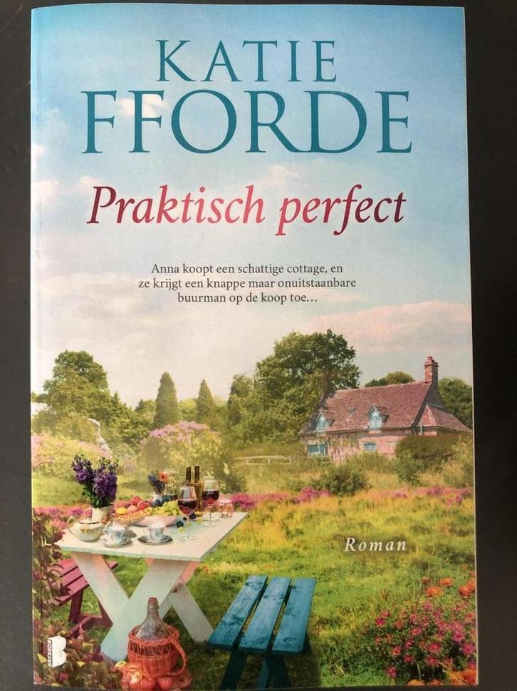 Praktisch perfect 9789022588307 Katie Fforde, Boeken, Literatuur, Gelezen, Verzenden