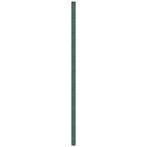 vidaXL Worteldoek 4x25 m polypropeen groen, Tuin en Terras, Verzenden, Nieuw